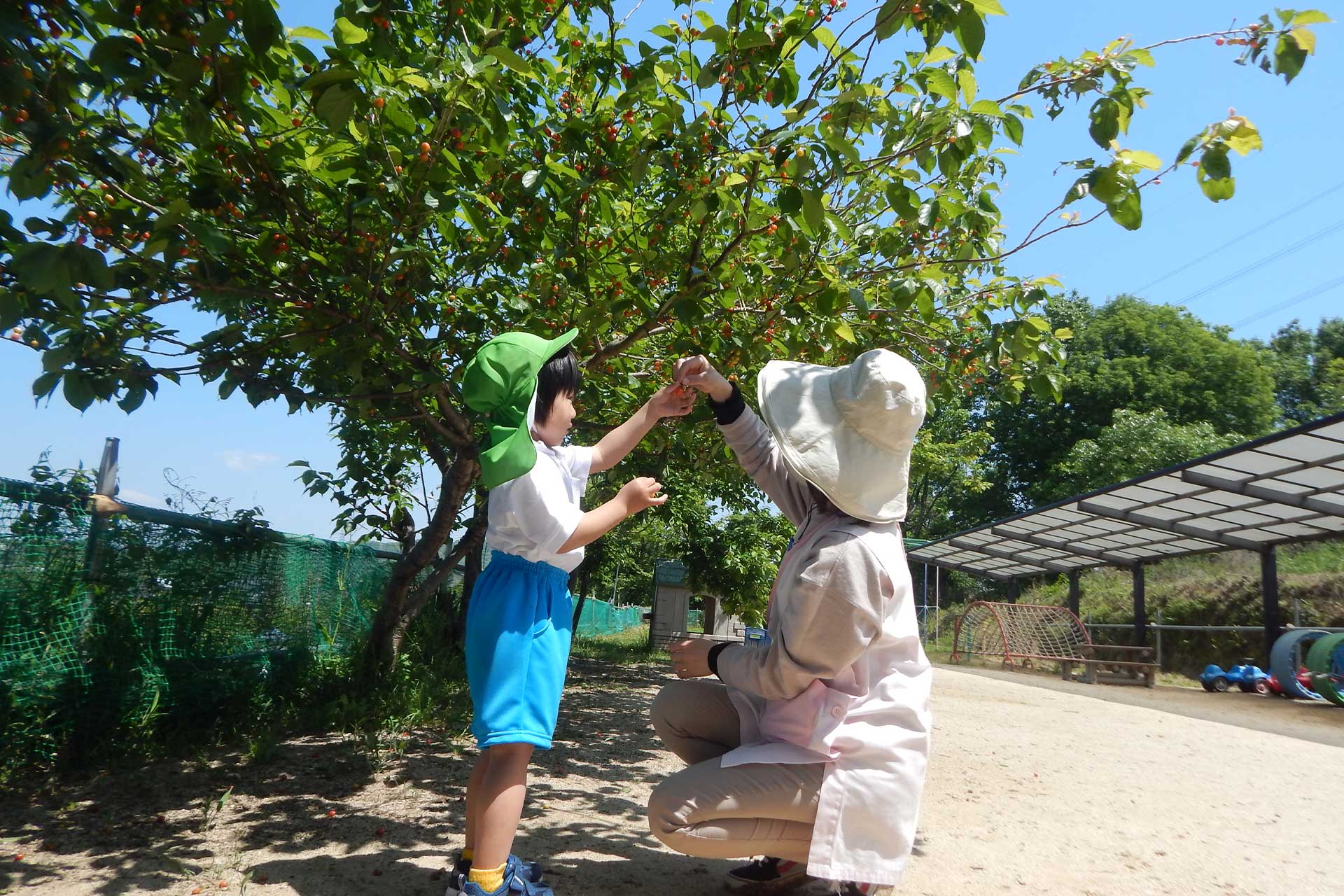 給食の様子